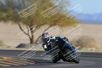 media/Feb-04-2023-SoCal Trackdays (Sat) [[8a776bf2c3]]/Turn 4 (Tree of Life 2pm)/